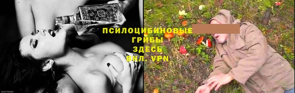 эйфоретик Богородск