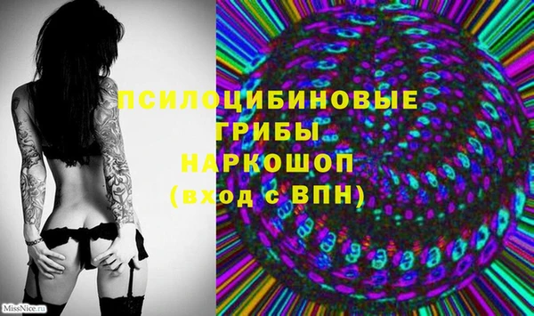 первитин Богородицк