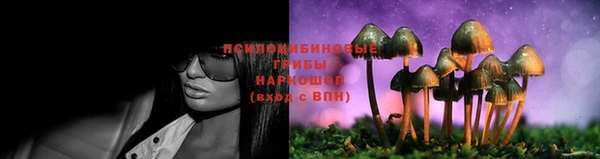 герыч Богданович