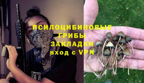 первитин Богородицк