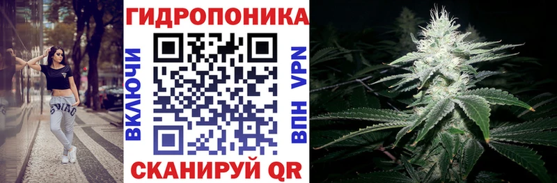 блэк спрут ССЫЛКА  Дятьково  Конопля план  наркошоп 